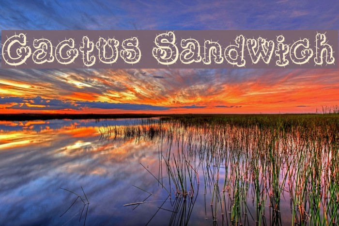 Cactus Sandwich Font examples