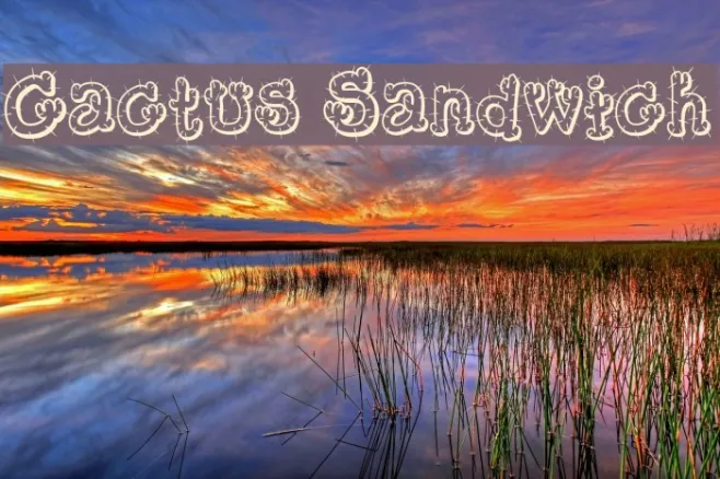 Cactus Sandwich Example 1