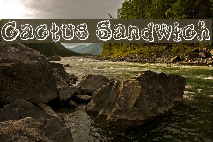 Cactus Sandwich Font examples