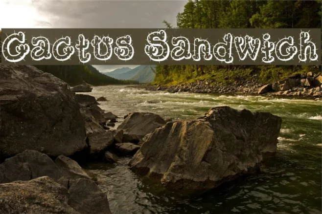 Cactus Sandwich Example 2