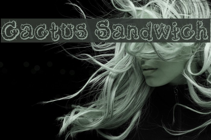 Cactus Sandwich Font examples