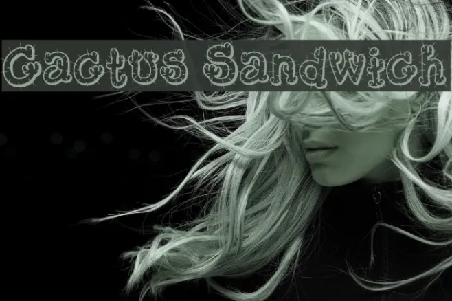 Cactus Sandwich Example 3