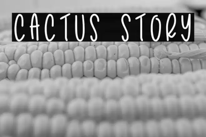 Cactus Story Font examples