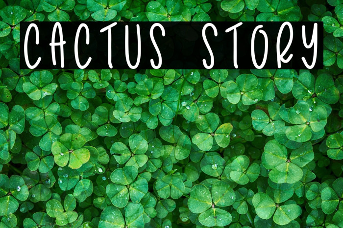 Cactus Story Example 2