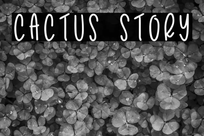 Cactus Story Font examples