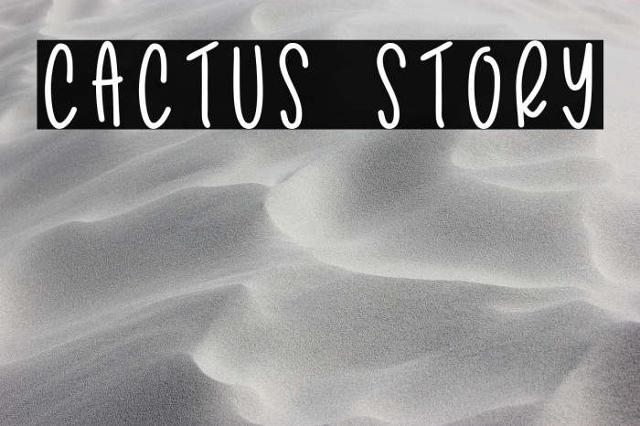 Cactus Story Example 3