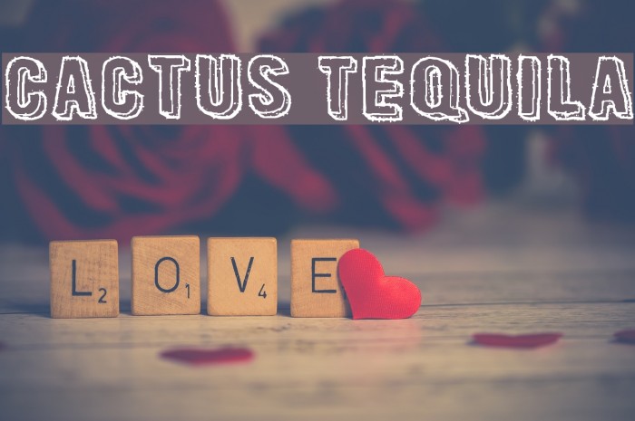Cactus Tequila Example 1