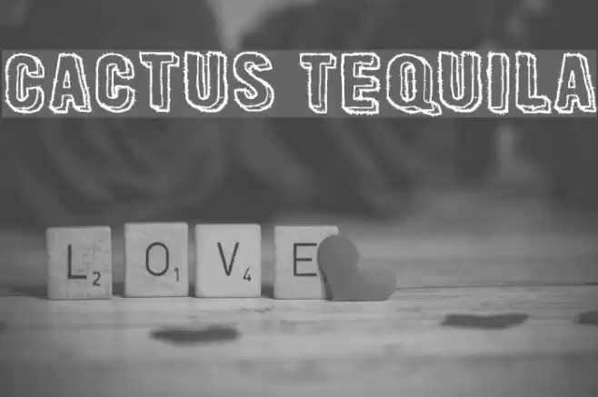 Cactus Tequila Font examples