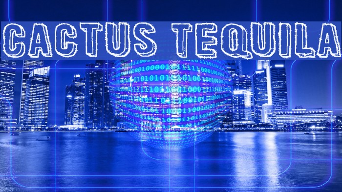 Cactus Tequila Example 2