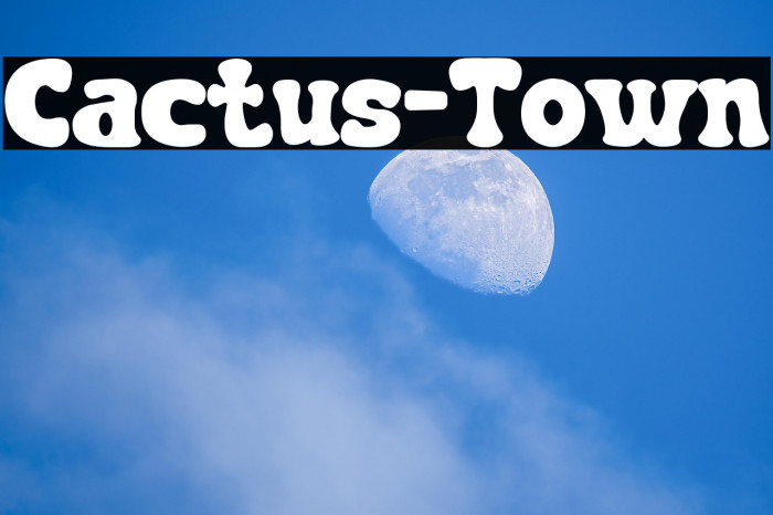 Cactus-Town Example 1