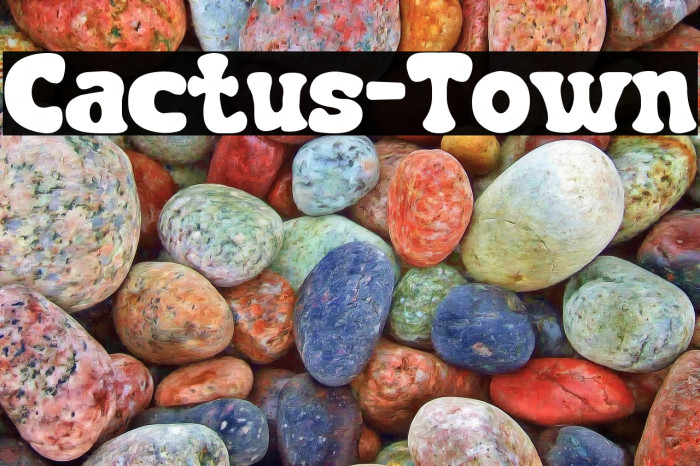 Cactus-Town Example 3