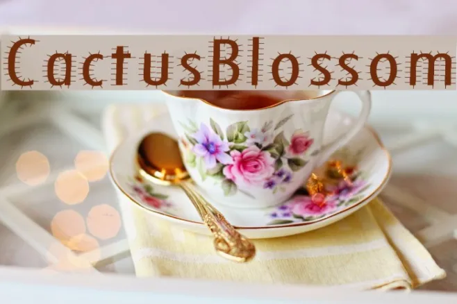 CactusBlossom Example 1