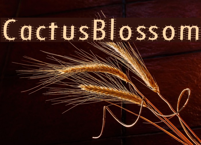 CactusBlossom Font examples