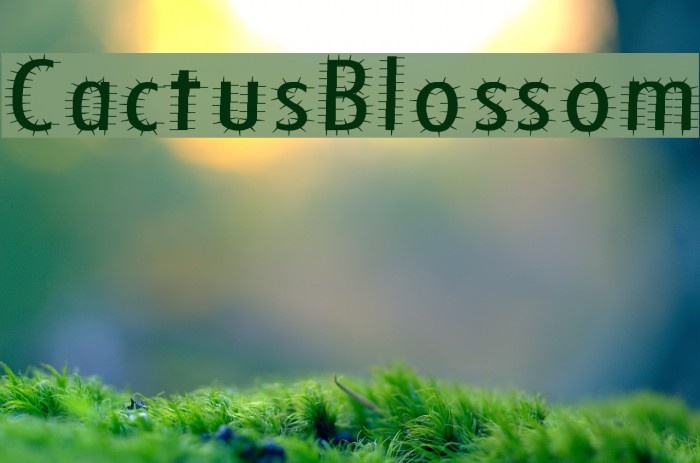 CactusBlossom Font examples