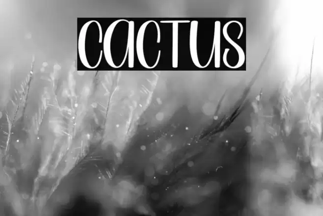 Cactus Font examples