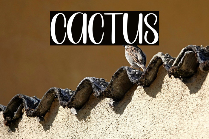 Cactus Example 3