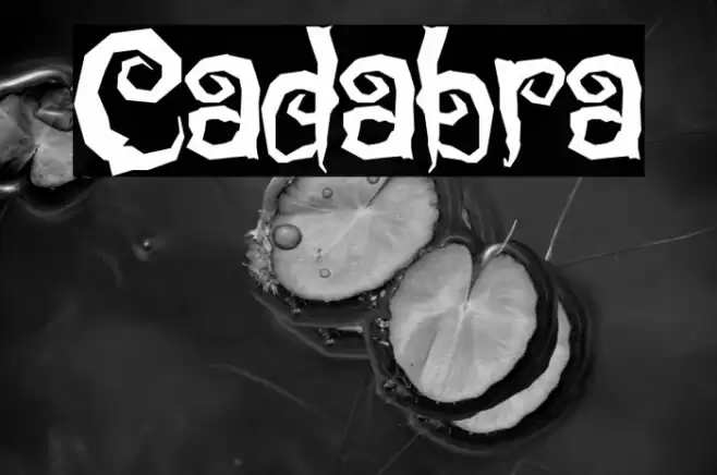Cadabra 字体 examples