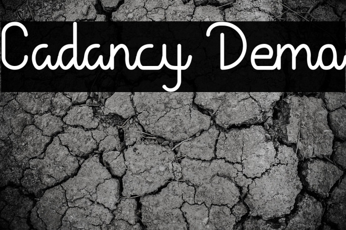 Cadancy Demo Example 3