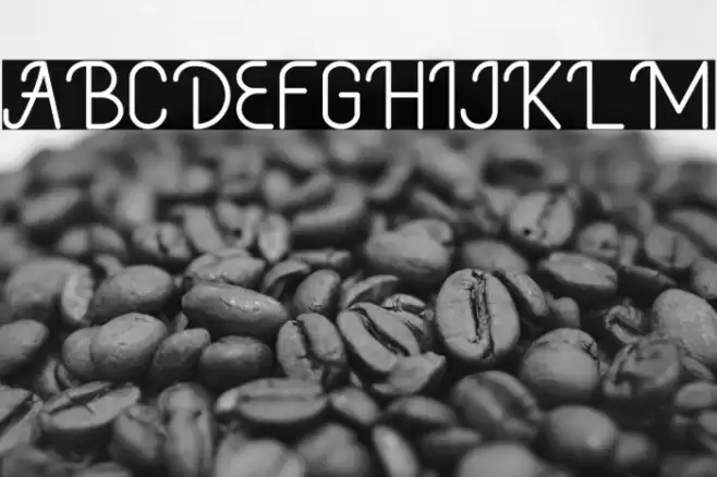 CadancyDemo Font examples