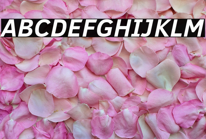 Cadman Bold Italic Example 1