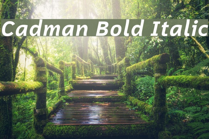 Cadman Bold Italic Font examples
