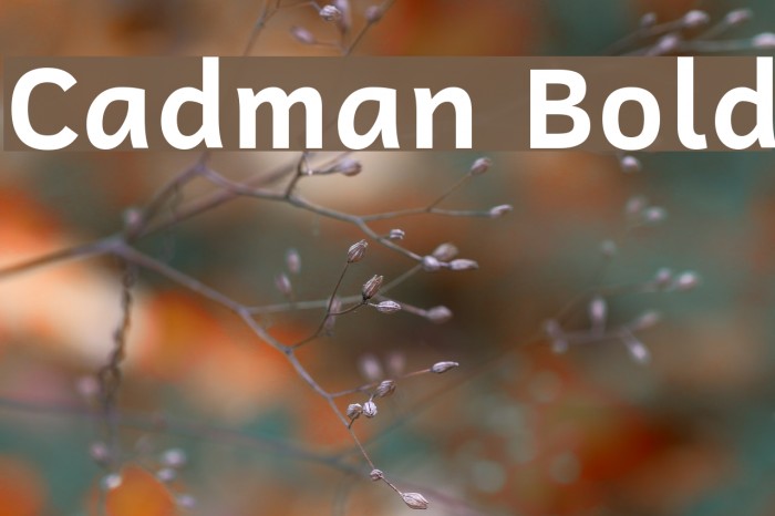 Cadman Bold Font examples