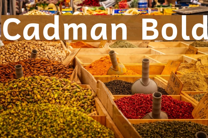Cadman Bold Font examples