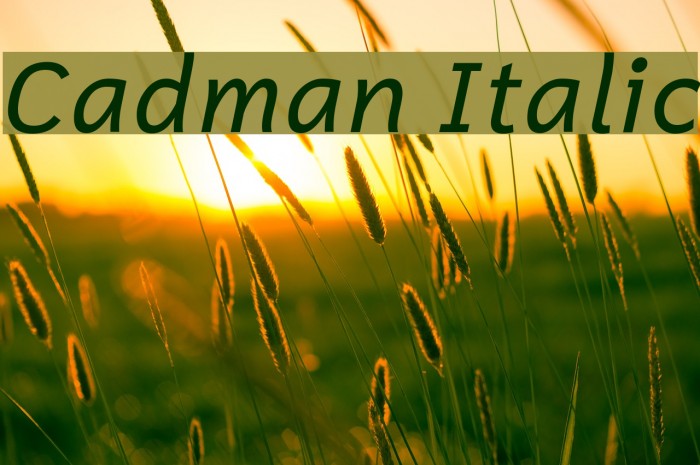 Cadman Italic Example 1
