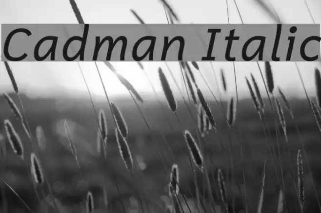 Cadman Italic Font examples