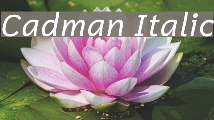Cadman Italic Example 2