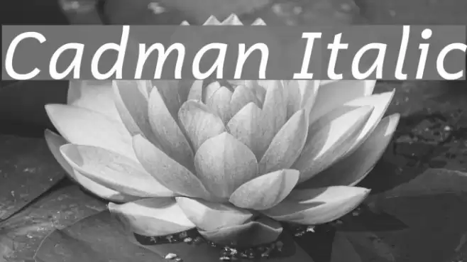 Cadman Italic Font examples