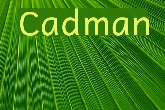 Cadman Example 2
