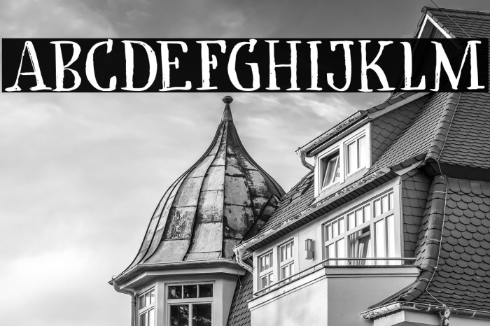 Cadora Woods DEMO Regular Example 2