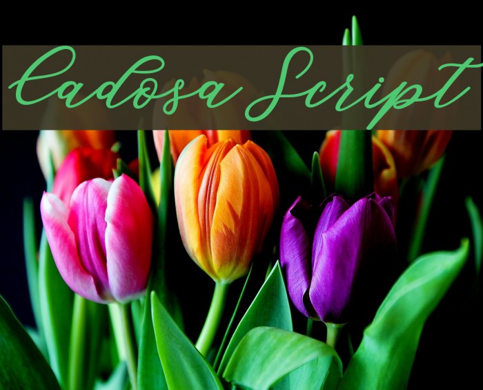 CadosaScript Font examples