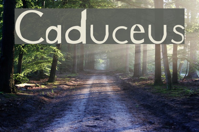 Caduceus Font examples