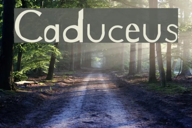 Caduceus Example 1
