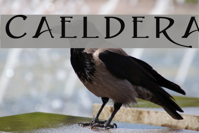 Caeldera Font examples