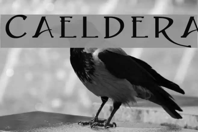 Caeldera Caratteri examples