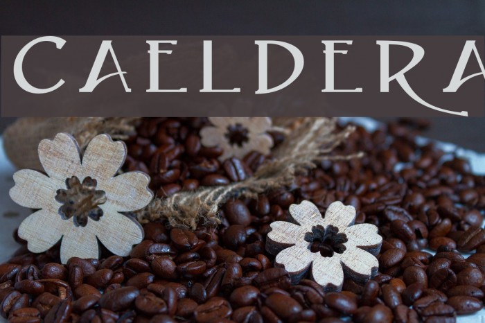 Caeldera Font examples