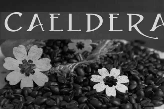 Caeldera Caratteri examples