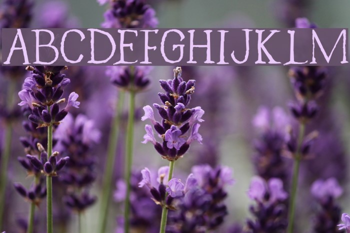 Caerphilly DEMO Regular Font examples