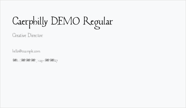 Caerphilly DEMO Regular Business Card