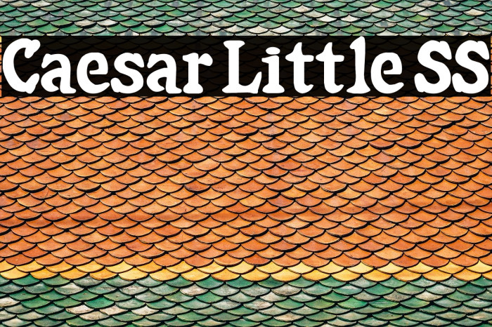 Caesar Little SS Font examples