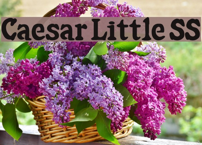 Caesar Little SS Font examples