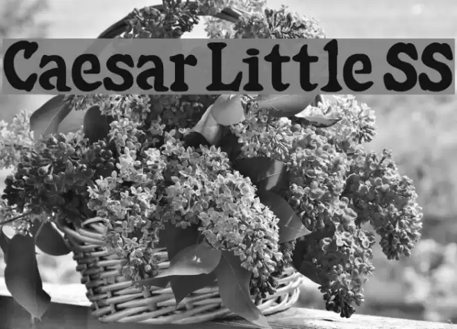 Caesar Little SS Schriftart examples