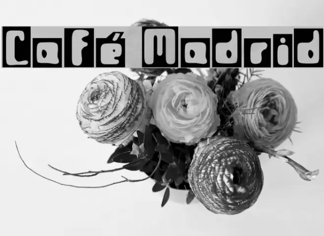 Café Madrid Font examples