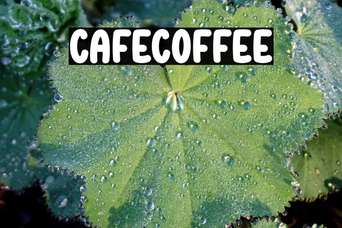 Cafe Coffee Example 3