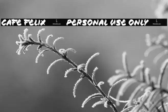 Cafe Felix [Personal Use Only] Шрифта examples