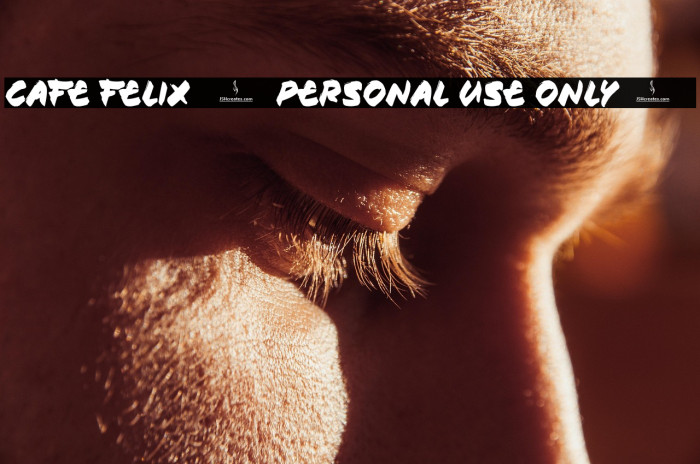 Cafe Felix [Personal Use Only] Fonte examples
