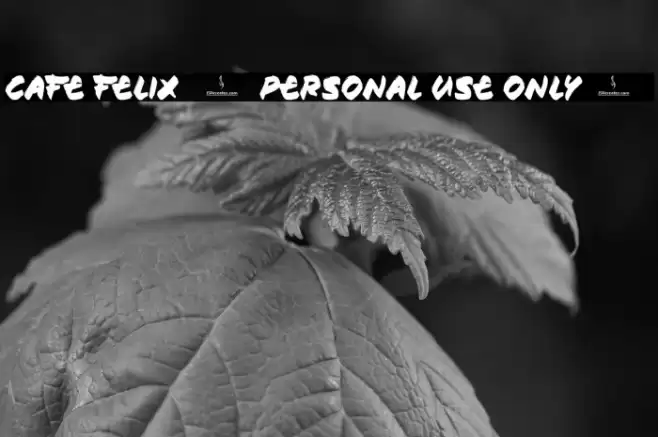 Cafe Felix [Personal Use Only] Шрифта examples